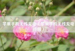 苹果手机无线充电（苹果手机无线充电线圈）