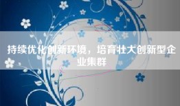 持续优化创新环境，培育壮大创新型企业集群