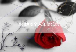 2024地质个人年终总结