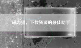 磁力猫，下载资源的最佳助手