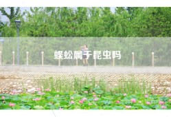 蜈蚣属于昆虫吗