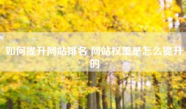 如何提升网站排名 网站权重是怎么提升的
