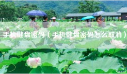手机键盘密码（手机键盘密码怎么取消）