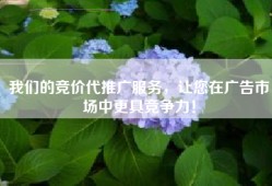 我们的竞价代推广服务，让您在广告市场中更具竞争力！
