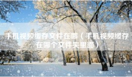 手机视频缓存文件在哪（手机视频缓存在哪个文件夹里面）