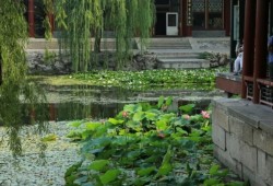 云南旅游的更佳旅行时间：探索淡季与旺季的完美搭配