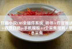 狂雨小说CMS全插件系统_听书+百度推送+收费白色pc手机模板+3个采集规则+单本采集