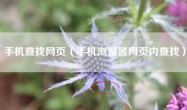 手机查找网页（手机浏览器网页内查找）