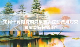 如何计算期货的交易费？这些费用对交易成本有何影响？