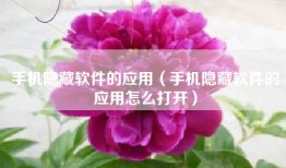 手机隐藏软件的应用（手机隐藏软件的应用怎么打开）