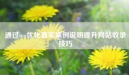 通过seo优化真实案例说明提升网站收录技巧