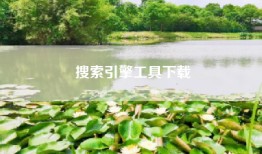搜索引擎工具下载