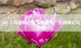 2021上海国际广告节暨数字广告高峰论坛开幕