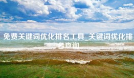 免费关键词优化排名工具_关键词优化排名查询