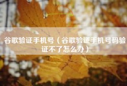 谷歌验证手机号（谷歌验证手机号码验证不了怎么办）