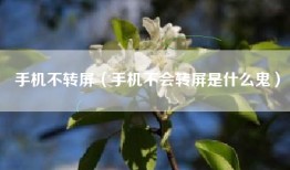 手机不转屏（手机不会转屏是什么鬼）
