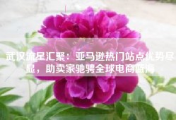 武汉流星汇聚：亚马逊热门站点优势尽显，助卖家驰骋全球电商蓝海