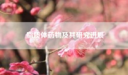 脂质体药物及其研究进展