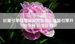 巨量引擎信息流深度优化？巨量引擎开放平台 衍生计划