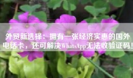 外贸新选择：拥有一张经济实惠的国外电话卡，还可解决WhatsApp无法收验证码！