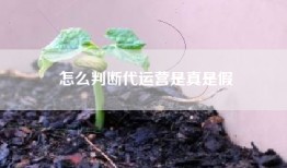 怎么判断代运营是真是假