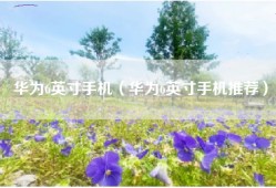 华为6英寸手机（华为6英寸手机推荐）