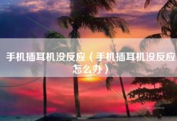 手机插耳机没反应（手机插耳机没反应怎么办）