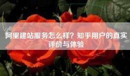 阿里建站服务怎么样？知乎用户的真实评价与体验