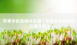 苹果手机指南针在哪（苹果手机指南针在哪儿找）