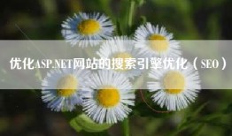 优化ASP.NET网站的搜索引擎优化（SEO）
