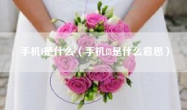 手机f是什么（手机f8是什么意思）
