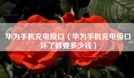 华为手机充电接口（华为手机充电接口坏了修要多少钱）