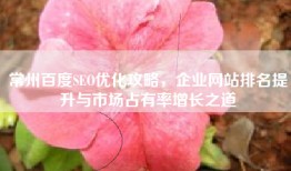 常州百度SEO优化攻略，企业网站排名提升与市场占有率增长之道