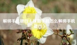 解绑手机银行（换新手机怎么解绑手机银行）