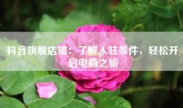抖音旗舰店铺：了解入驻条件，轻松开启电商之旅
