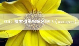 SEO：搜索引擎蜘蛛名称UA（user-agent）