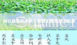 现在最贵的手机（世界上最贵的手机多少钱）