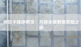 微信小程序爬虫：开辟全新数据获取之道