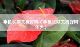 手机长期关机好吗（手机长期关机好吗华为）