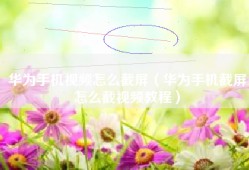 华为手机视频怎么截屏（华为手机截屏怎么截视频教程）