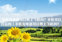 手机充电器可以带上飞机吗？手机可以托运吗「手机充电器可以带上飞机吗？」