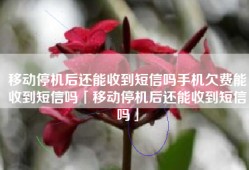 移动停机后还能收到短信吗手机欠费能收到短信吗「移动停机后还能收到短信吗」