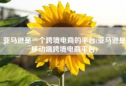 亚马逊是一个跨境电商的平台(亚马逊是移动端跨境电商平台)