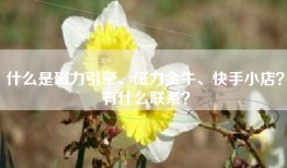 什么是磁力引擎、磁力金牛、快手小店？有什么联系？