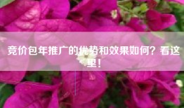 竞价包年推广的优势和效果如何？看这里！