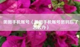 美图手机账号（美图手机账号密码忘了怎么办）