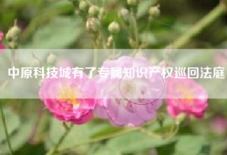 中原科技城有了专属知识产权巡回法庭