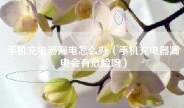 手机充电器漏电怎么办（手机充电器漏电会有危险吗）