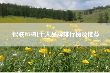 银联POS机十大品牌排行榜及推荐