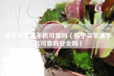 苏宁买苹果手机可靠吗（苏宁买苹果手机可靠吗安全吗）